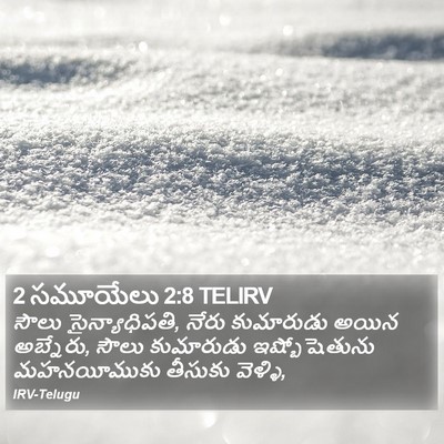 2 సమూయేలు 2:8 TELIRV Bible Verse Image