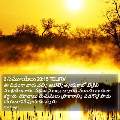 2 సమూయేలు 20:15 TELIRV Bible Verse Image