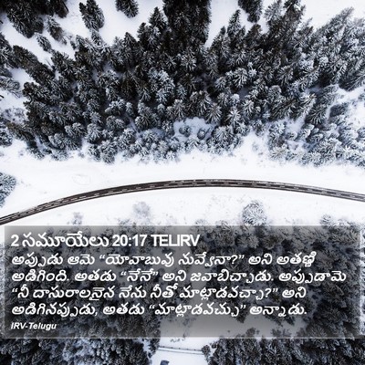 2 సమూయేలు 20:17 TELIRV Bible Verse Image
