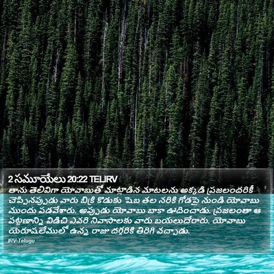 2 సమూయేలు 20:22 TELIRV Bible Verse Image