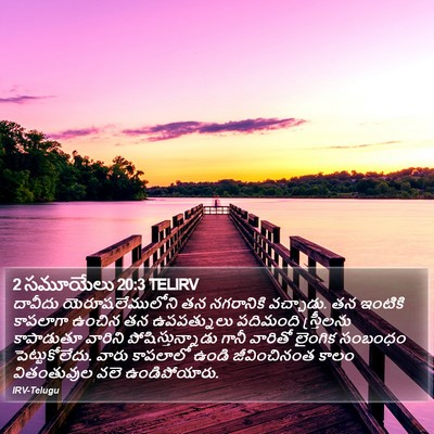 2 సమూయేలు 20:3 TELIRV Bible Verse Image