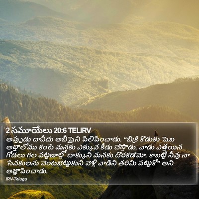 2 సమూయేలు 20:6 TELIRV Bible Verse Image