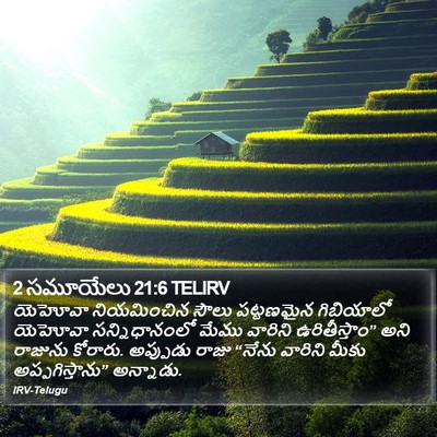 2 సమూయేలు 21:6 TELIRV Bible Verse Image