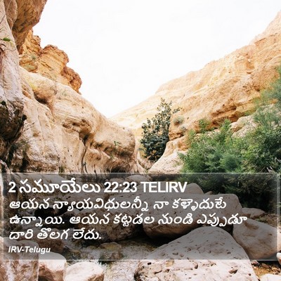 2 సమూయేలు 22:23 TELIRV Bible Verse Image