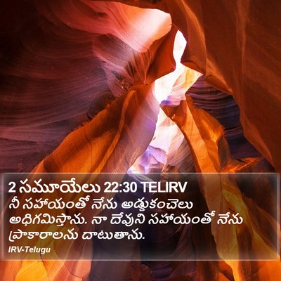 2 సమూయేలు 22:30 TELIRV Bible Verse Image