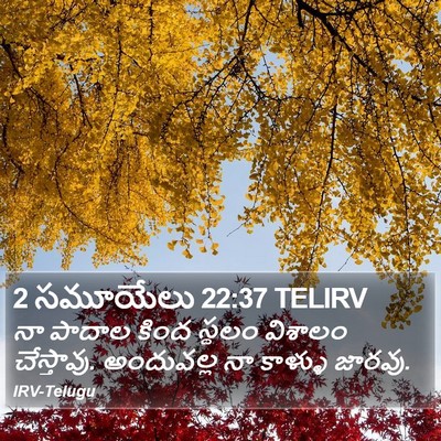 2 సమూయేలు 22:37 TELIRV Bible Verse Image