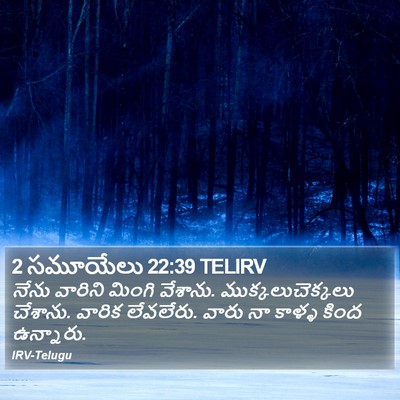 2 సమూయేలు 22:39 TELIRV Bible Verse Image