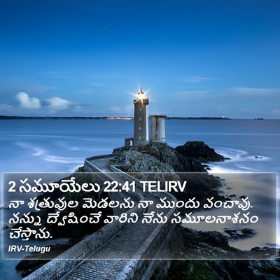 2 సమూయేలు 22:41 TELIRV Bible Verse Image