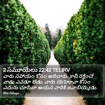 2 సమూయేలు 22:42 TELIRV Bible Verse Image