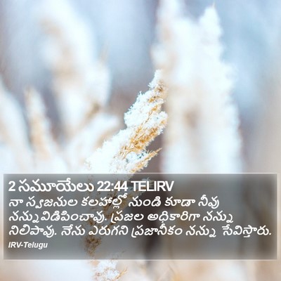 2 సమూయేలు 22:44 TELIRV Bible Verse Image