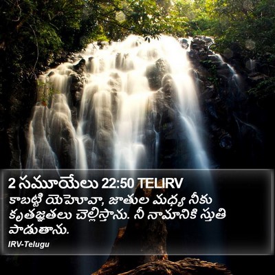 2 సమూయేలు 22:50 TELIRV Bible Verse Image