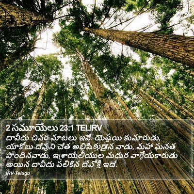 2 సమూయేలు 23:1 TELIRV Bible Verse Image