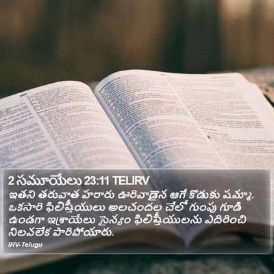 2 సమూయేలు 23:11 TELIRV Bible Verse Image