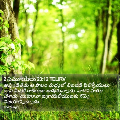 2 సమూయేలు 23:12 TELIRV Bible Verse Image