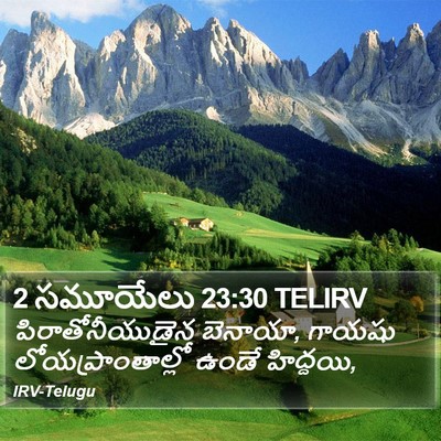 2 సమూయేలు 23:30 TELIRV Bible Verse Image