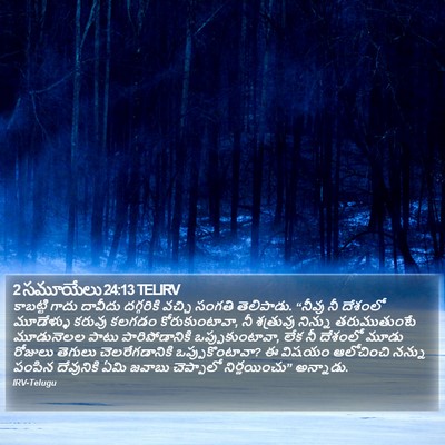 2 సమూయేలు 24:13 TELIRV Bible Verse Image