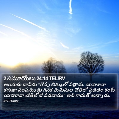 2 సమూయేలు 24:14 TELIRV Bible Verse Image