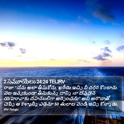 2 సమూయేలు 24:24 TELIRV Bible Verse Image