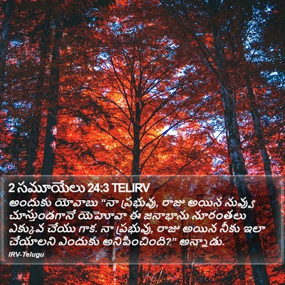 2 సమూయేలు 24:3 TELIRV Bible Verse Image