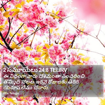 2 సమూయేలు 24:8 TELIRV Bible Verse Image