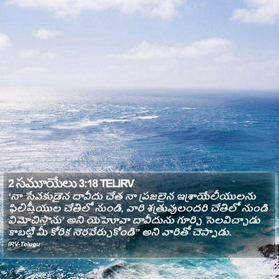 2 సమూయేలు 3:18 TELIRV Bible Verse Image