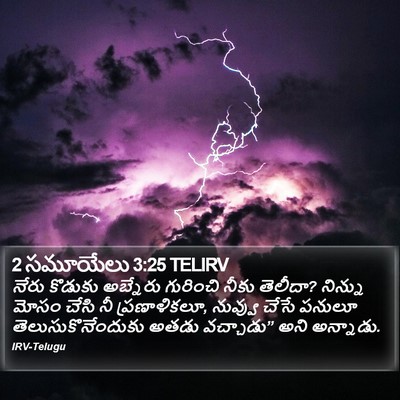 2 సమూయేలు 3:25 TELIRV Bible Verse Image