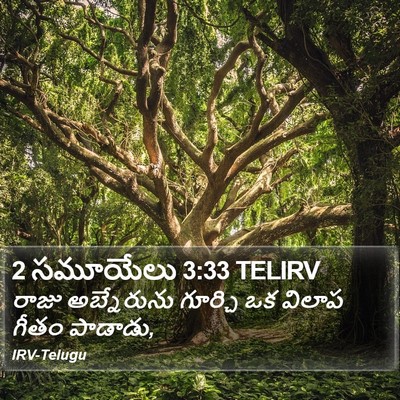 2 సమూయేలు 3:33 TELIRV Bible Verse Image