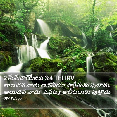 2 సమూయేలు 3:4 TELIRV Bible Verse Image