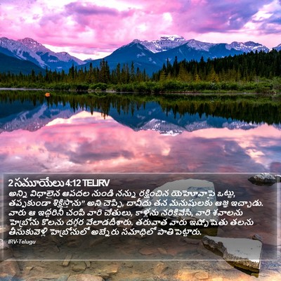 2 సమూయేలు 4:12 TELIRV Bible Verse Image
