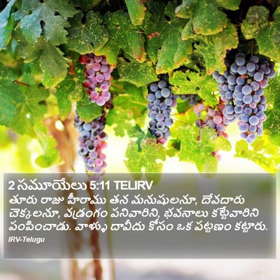 2 సమూయేలు 5:11 TELIRV Bible Verse Image