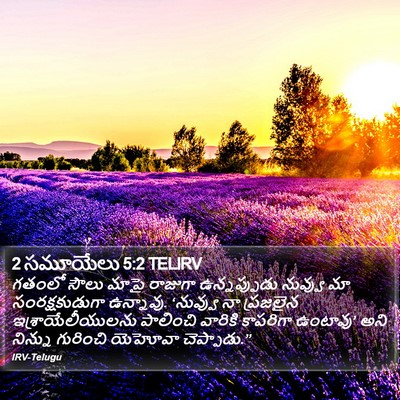 2 సమూయేలు 5:2 TELIRV Bible Verse Image