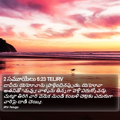2 సమూయేలు 5:23 TELIRV Bible Verse Image