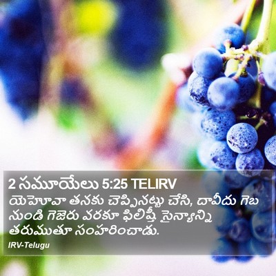 2 సమూయేలు 5:25 TELIRV Bible Verse Image