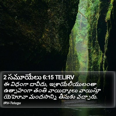 2 సమూయేలు 6:15 TELIRV Bible Verse Image