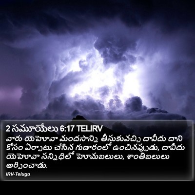 2 సమూయేలు 6:17 TELIRV Bible Verse Image