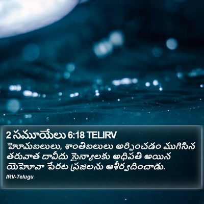 2 సమూయేలు 6:18 TELIRV Bible Verse Image