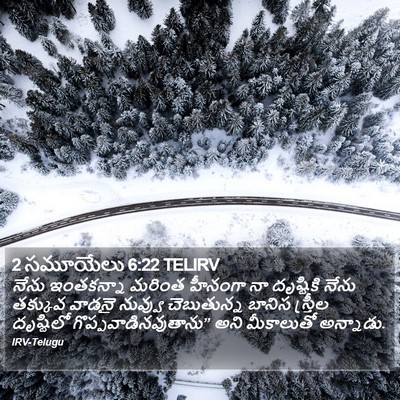2 సమూయేలు 6:22 TELIRV Bible Verse Image