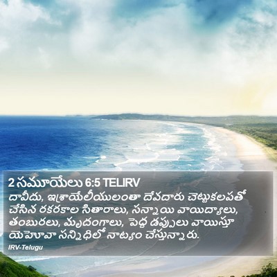2 సమూయేలు 6:5 TELIRV Bible Verse Image