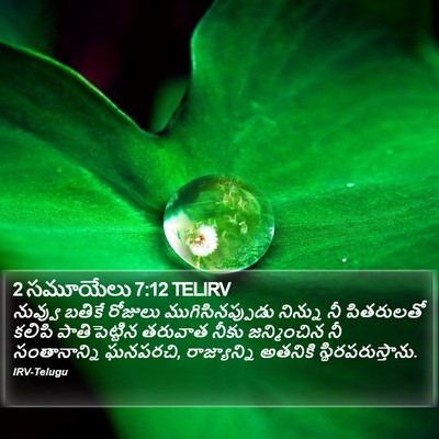 2 సమూయేలు 7:12 TELIRV Bible Verse Image