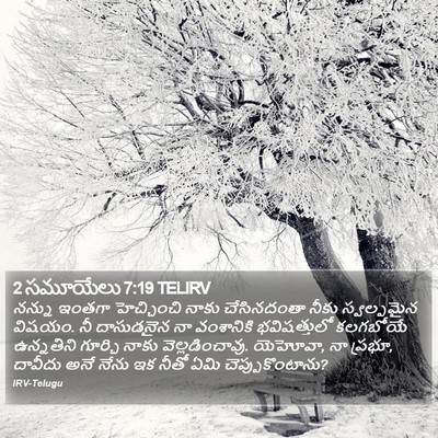 2 సమూయేలు 7:19 TELIRV Bible Verse Image
