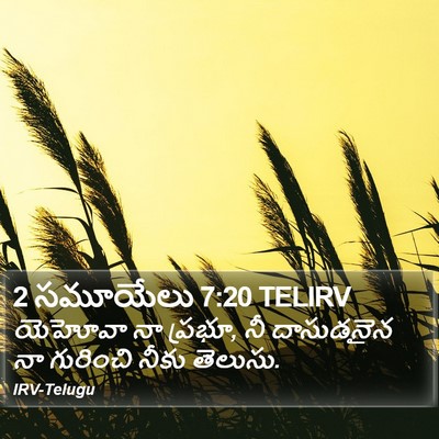 2 సమూయేలు 7:20 TELIRV Bible Verse Image