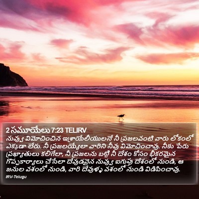 2 సమూయేలు 7:23 TELIRV Bible Verse Image