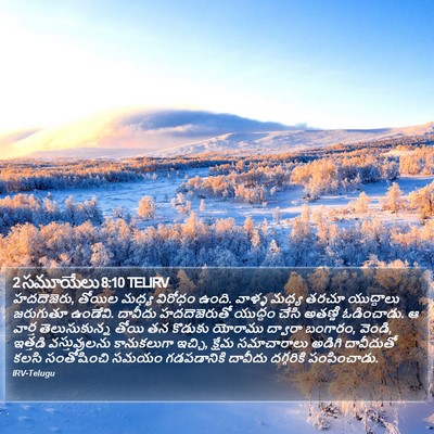 2 సమూయేలు 8:10 TELIRV Bible Verse Image