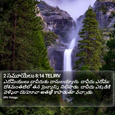 2 సమూయేలు 8:14 TELIRV Bible Verse Image