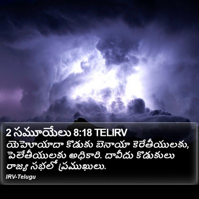 2 సమూయేలు 8:18 TELIRV Bible Verse Image