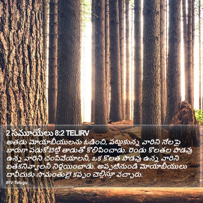 2 సమూయేలు 8:2 TELIRV Bible Verse Image