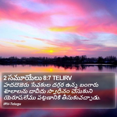 2 సమూయేలు 8:7 TELIRV Bible Verse Image