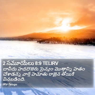 2 సమూయేలు 8:9 TELIRV Bible Verse Image