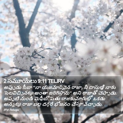 2 సమూయేలు 9:11 TELIRV Bible Verse Image
