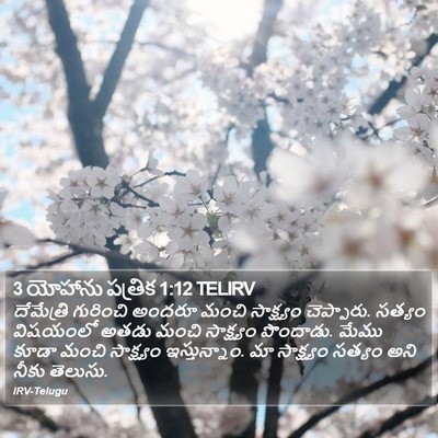 3 యోహాను పత్రిక 1:12 TELIRV Bible Verse Image